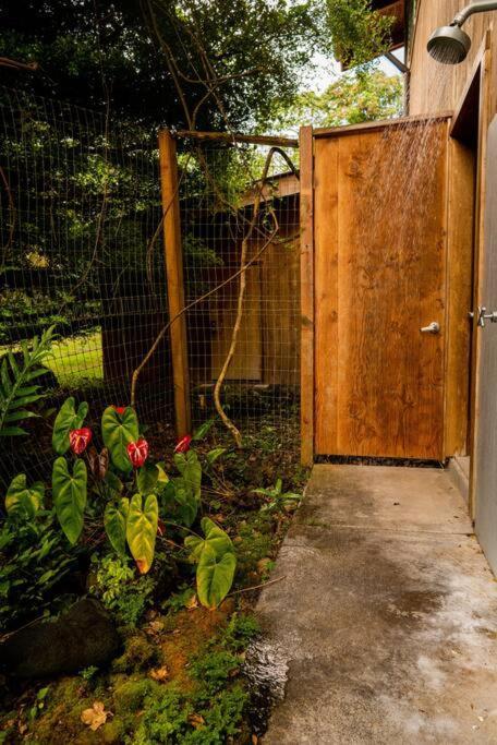 Jungle Haven Ocean Front Eco Villa On Fruit Farm Pahoa ภายนอก รูปภาพ