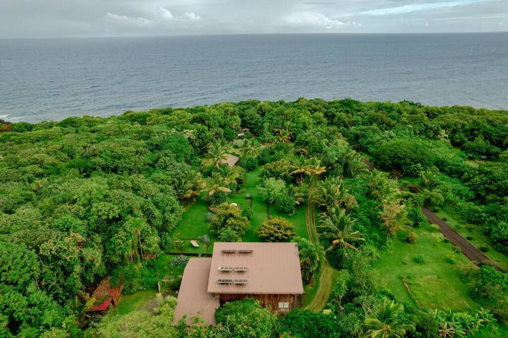 Jungle Haven Ocean Front Eco Villa On Fruit Farm Pahoa ภายนอก รูปภาพ