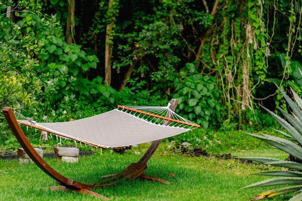 Jungle Haven Ocean Front Eco Villa On Fruit Farm Pahoa ภายนอก รูปภาพ