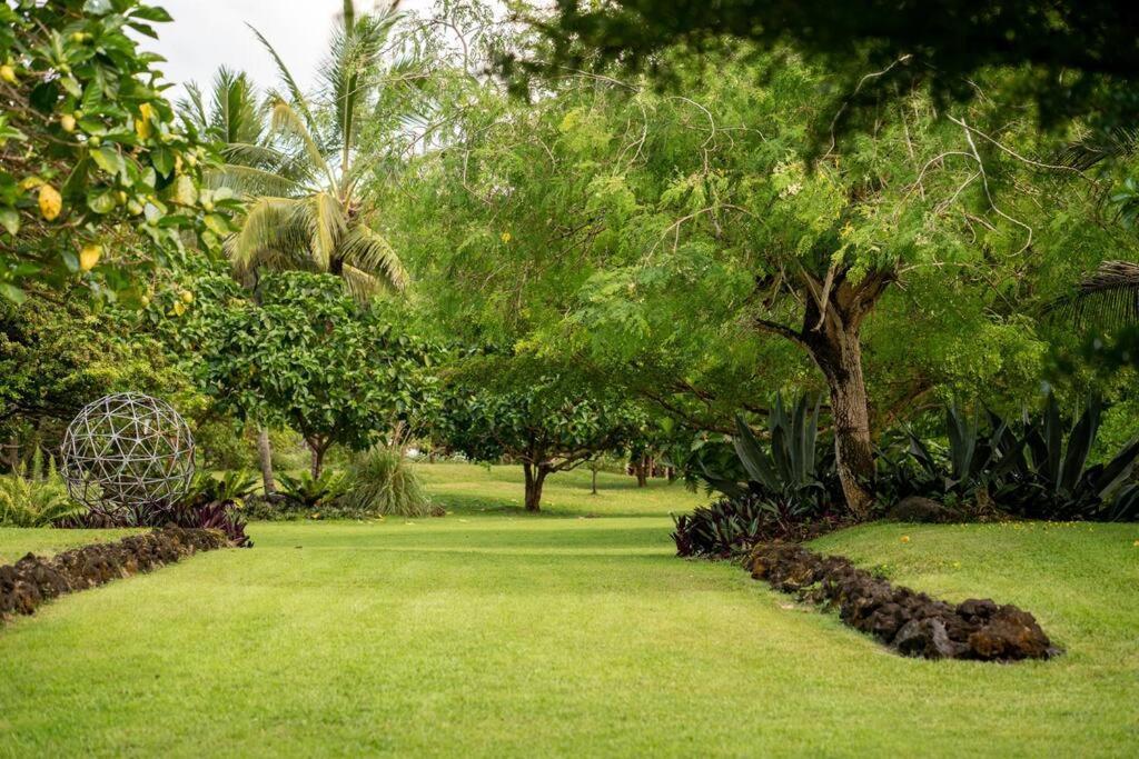 Jungle Haven Ocean Front Eco Villa On Fruit Farm Pahoa ภายนอก รูปภาพ