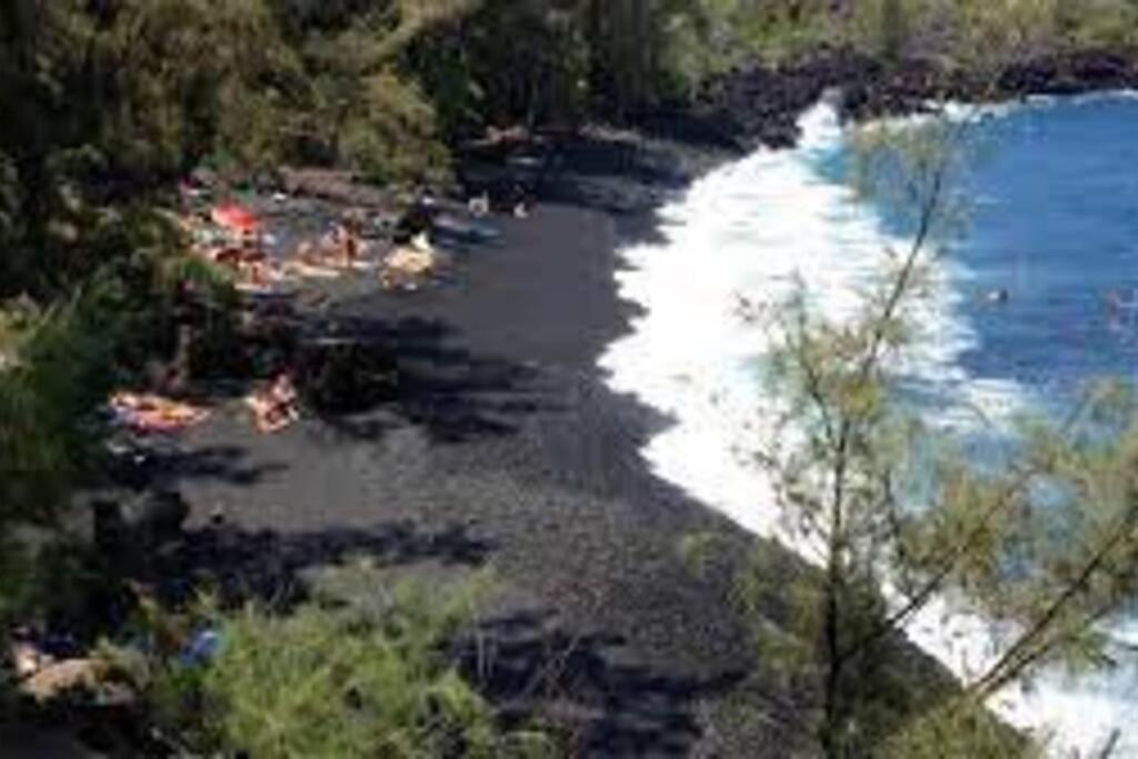 Jungle Haven Ocean Front Eco Villa On Fruit Farm Pahoa ภายนอก รูปภาพ