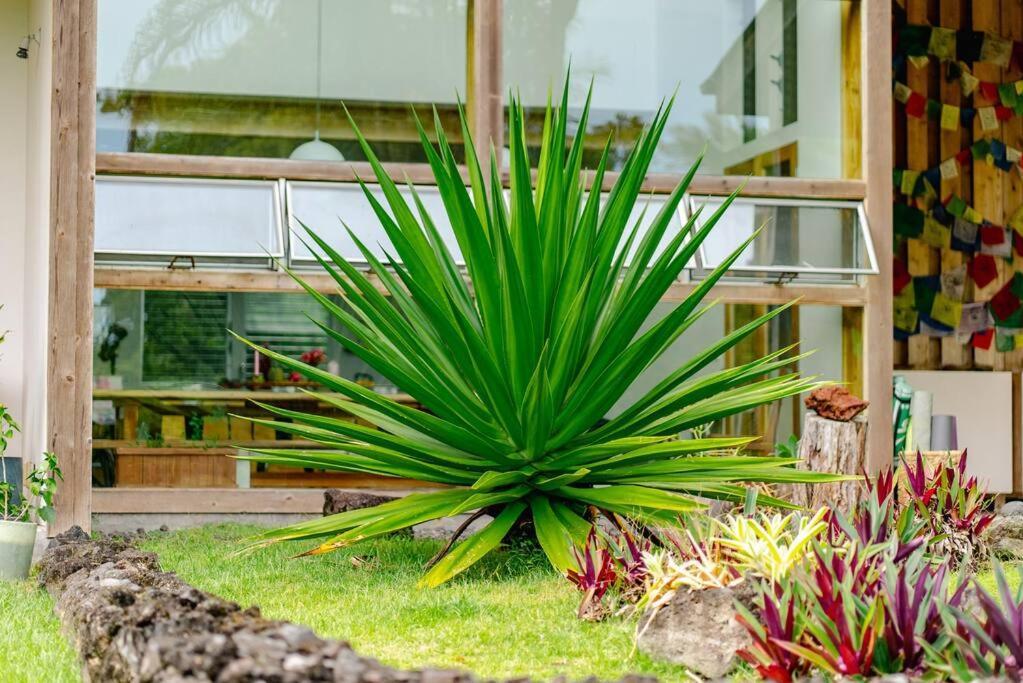 Jungle Haven Ocean Front Eco Villa On Fruit Farm Pahoa ภายนอก รูปภาพ