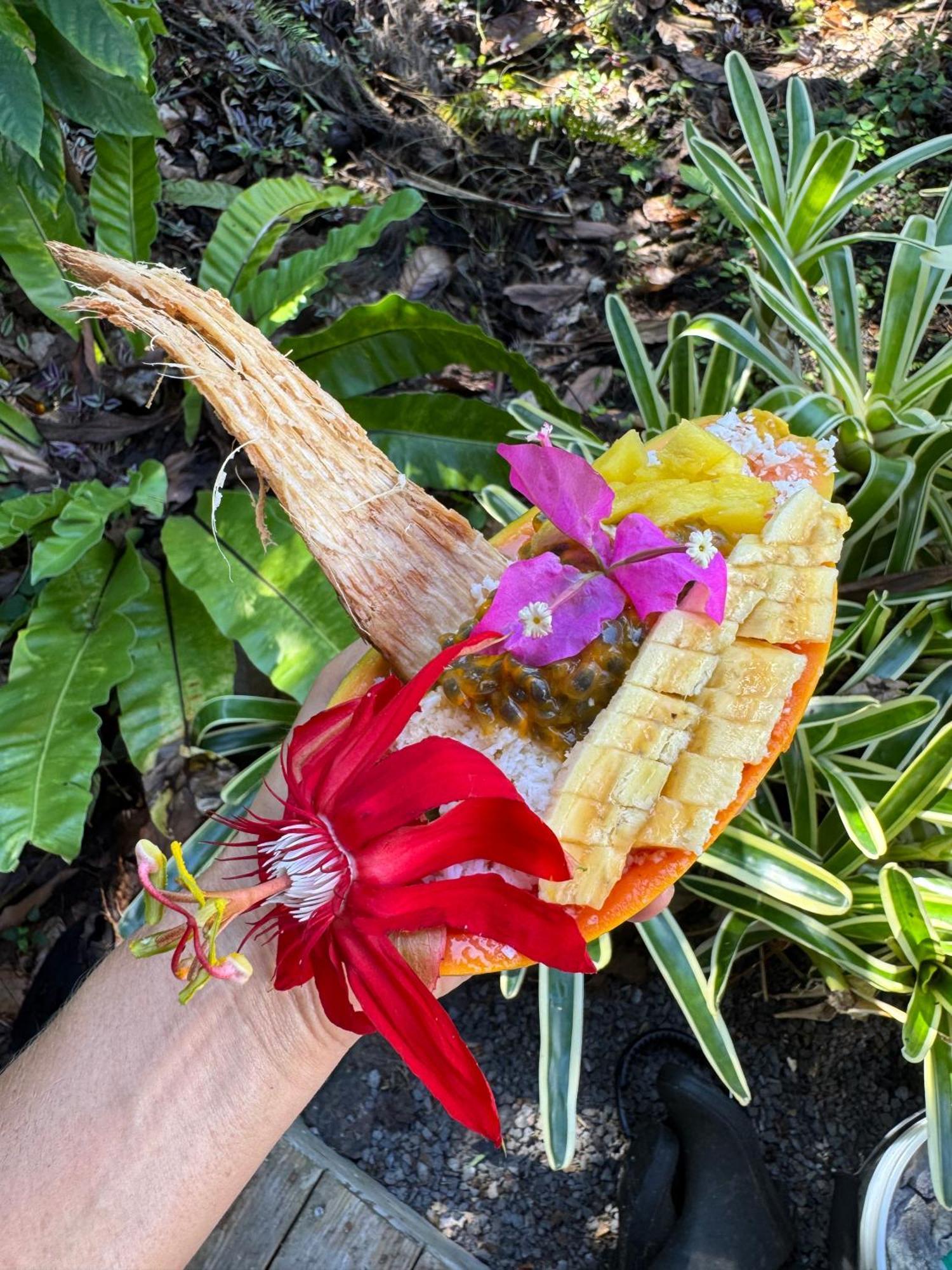 Jungle Haven Ocean Front Eco Villa On Fruit Farm Pahoa ภายนอก รูปภาพ