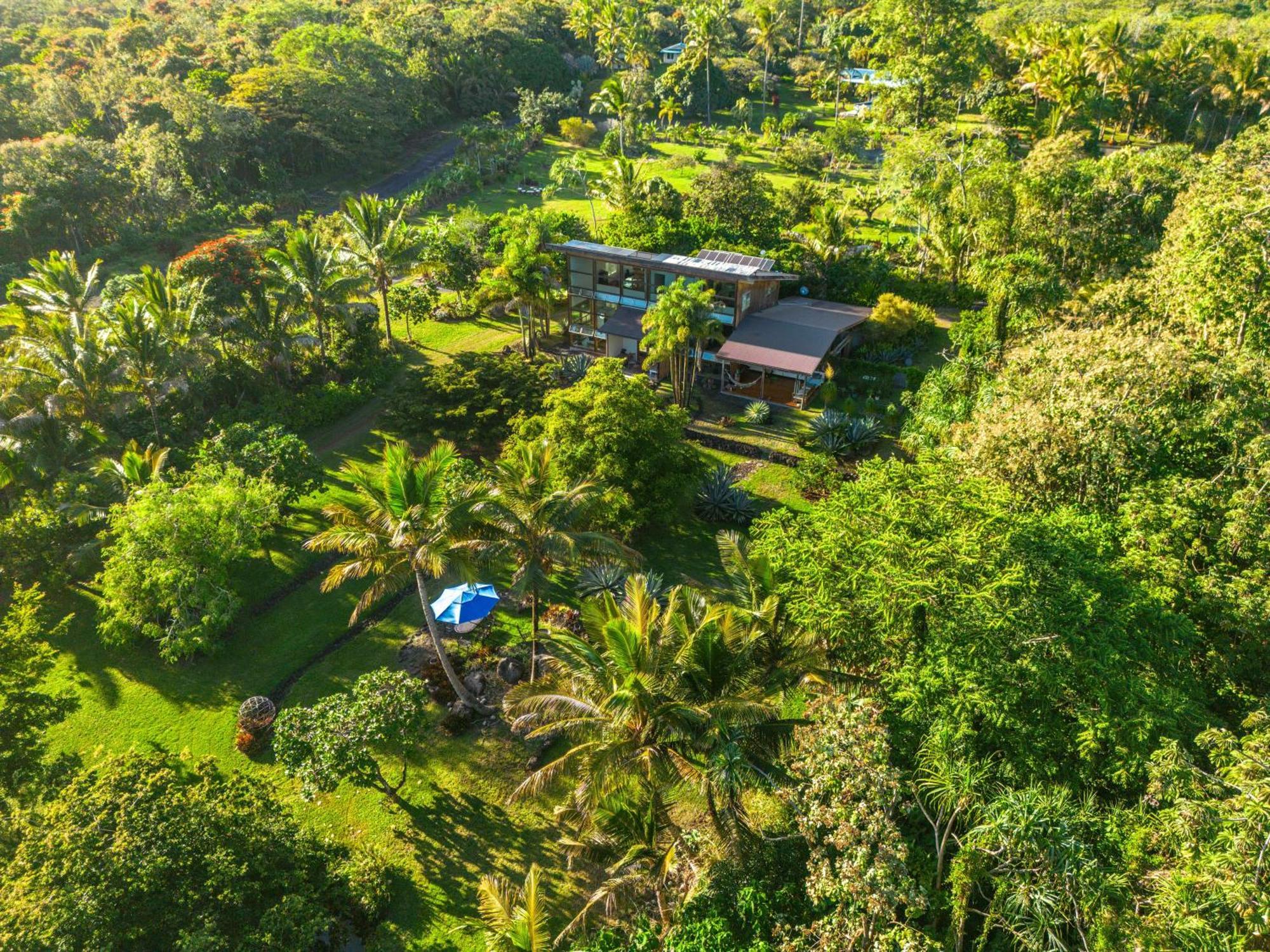 Jungle Haven Ocean Front Eco Villa On Fruit Farm Pahoa ภายนอก รูปภาพ