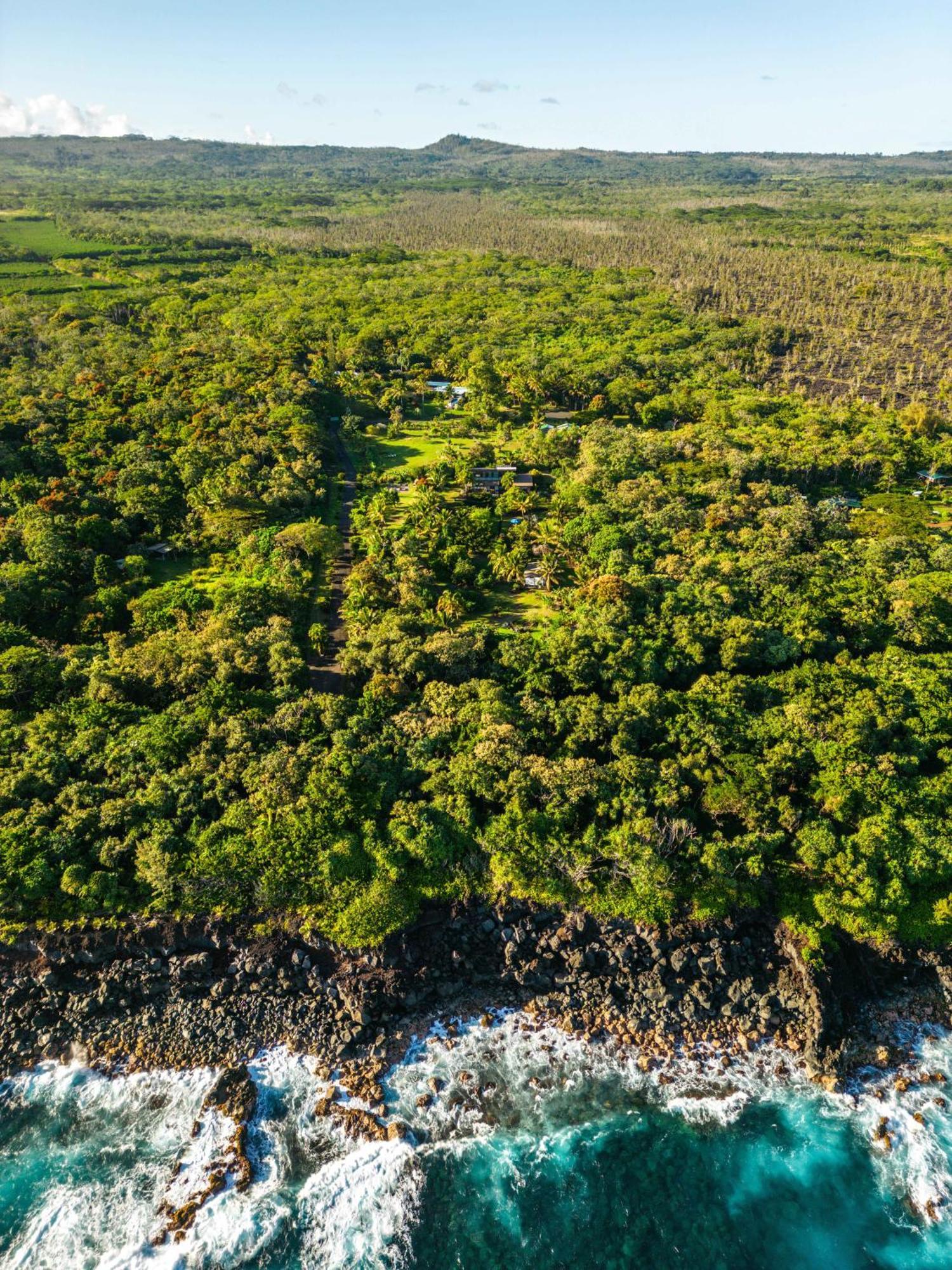 Jungle Haven Ocean Front Eco Villa On Fruit Farm Pahoa ภายนอก รูปภาพ