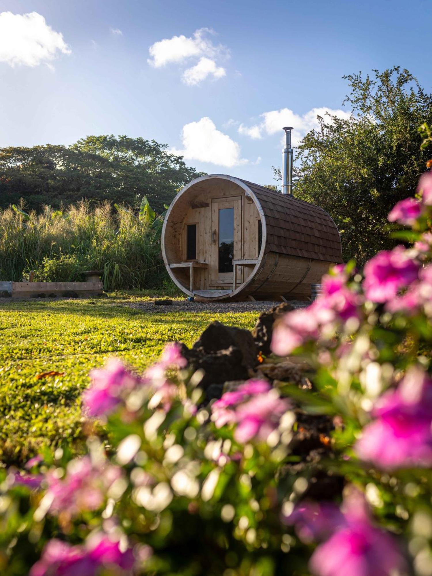 Jungle Haven Ocean Front Eco Villa On Fruit Farm Pahoa ภายนอก รูปภาพ