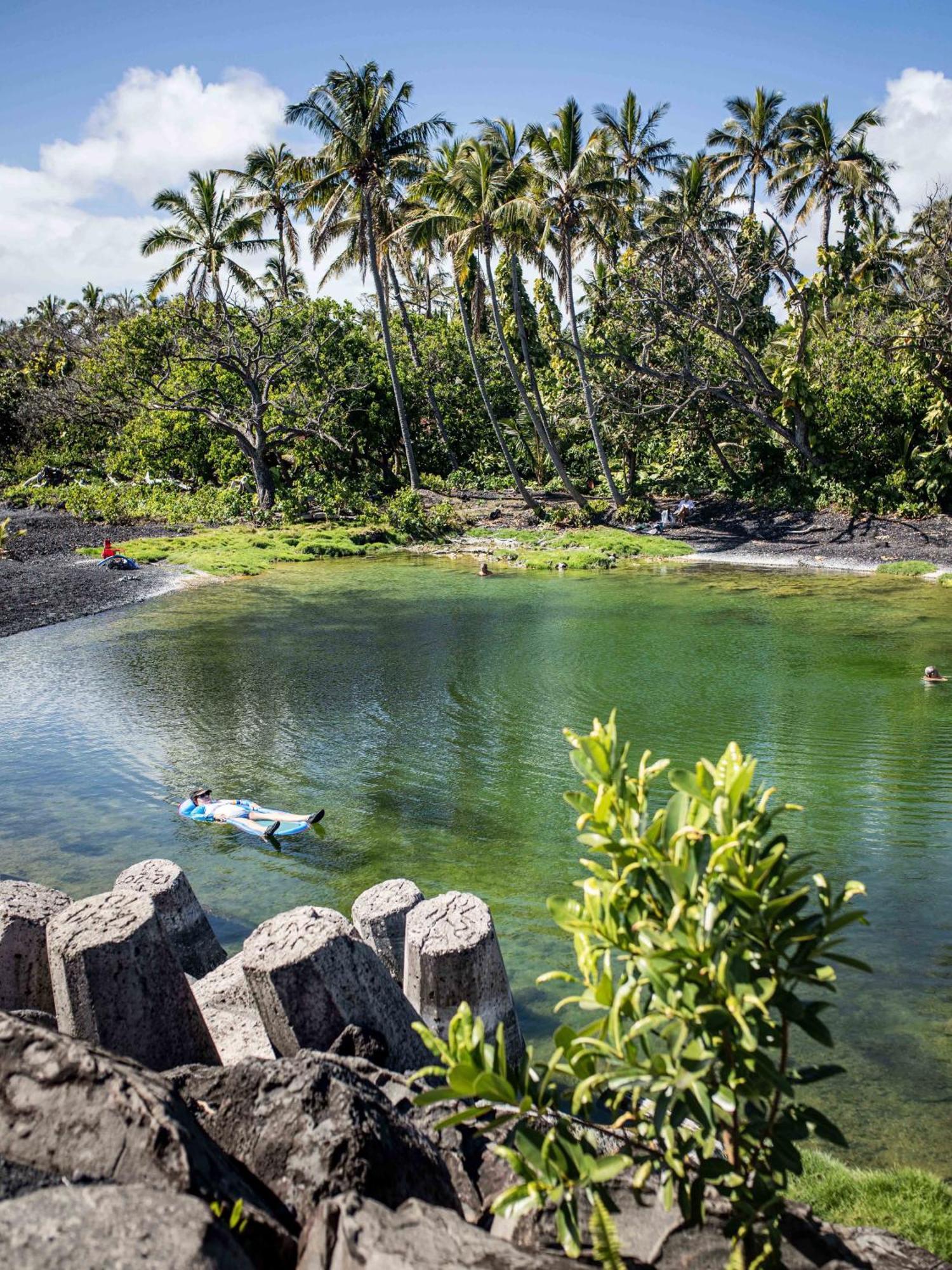 Jungle Haven Ocean Front Eco Villa On Fruit Farm Pahoa ภายนอก รูปภาพ