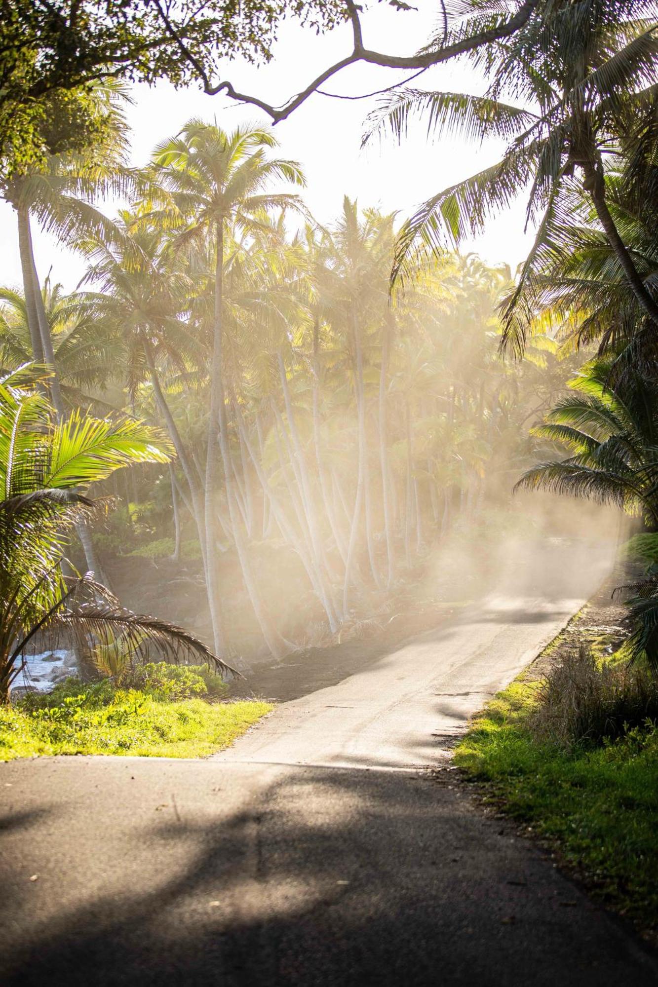 Jungle Haven Ocean Front Eco Villa On Fruit Farm Pahoa ภายนอก รูปภาพ